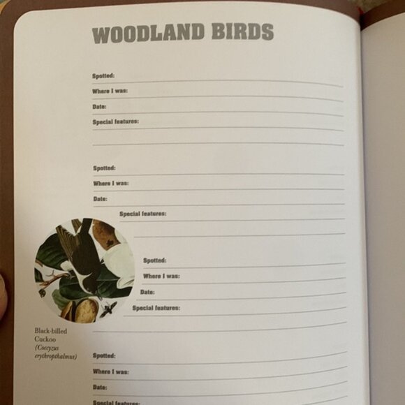 Birdwatching Notes 📕 Book - Picture 4 of 7